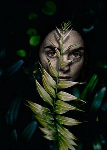 Jungle