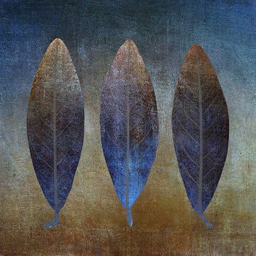 Trois feuilles avec une texture grunge bleue et brune sur Western Exposure