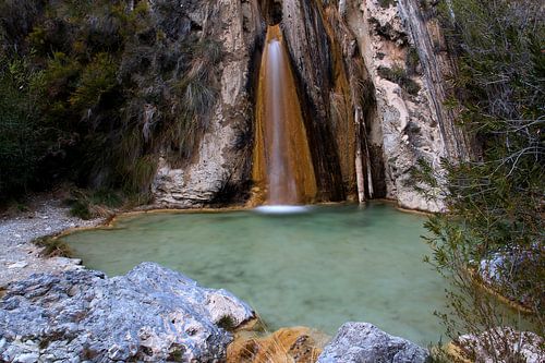 Petrified Trunks