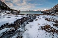 Vue sur la belle nature norvégienne par Ken Costers Aperçu