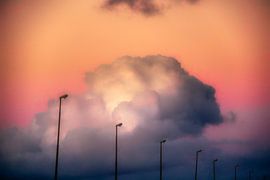 Silent Guards by Patrick Teeling