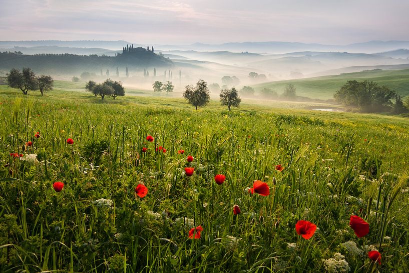 printemps toscane, Daniel Řeřicha par 1x