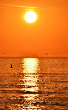 ein wunderschöner Sonnenuntergang am Blouberg Strand von Werner Lehmann