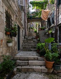 Alley with stairs in Dubrovnik by Daan Kloeg