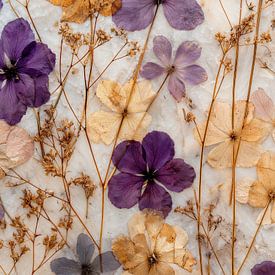 Pressed wildflowers by IamHome Studio