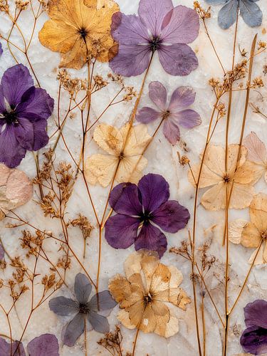 Gepresste Wildblumen