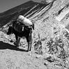 Himalaya Nepal Zwart-Wit van Ton Tolboom
