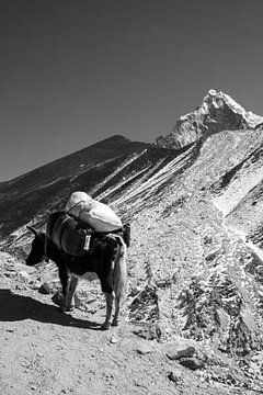 Himalaya Nepal Zwart-Wit van Ton Tolboom