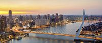 Erasmusbrug Rotterdam panorama van Ilya Korzelius thumbnail