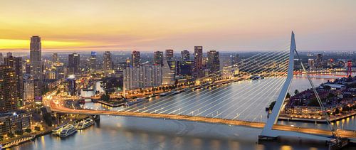 Erasmusbrug Rotterdam panorama