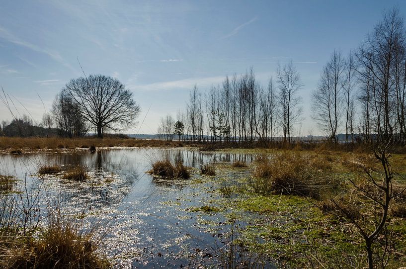 Une journée d'hiver ensoleillée au bord de l'eau par Ans Bastiaanssen