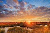 Sunset over the moor