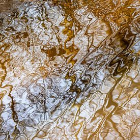 Abstract dans la nature sur Clazien Boot