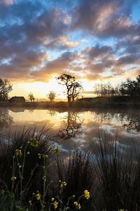 Reflectie tijdens zonsopkomst in Utrecht van Marieke Smetsers