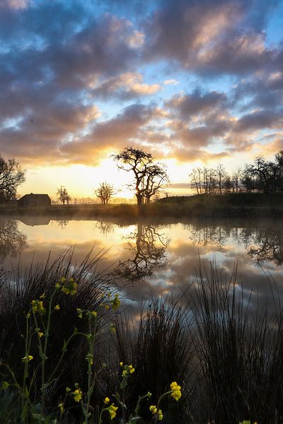 Spiegelung bei Sonnenaufgang in Utrecht von Marieke Smetsers