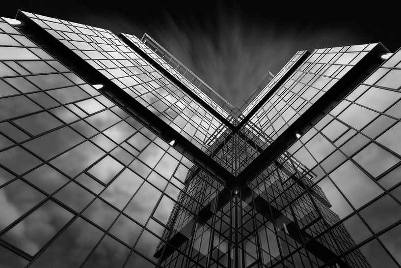 Crossing Lines van Vincent Willems
