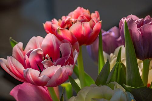 Het boeket tulpen