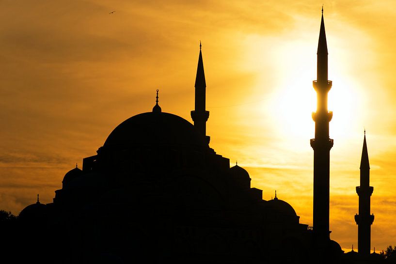 Istanbul Moschee von Borg Enders