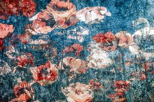 Champ de coquelicots