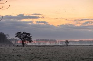 oranje en rode lucht van Tania Perneel