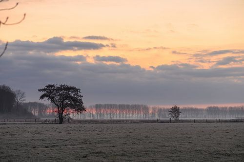 oranje en rode lucht