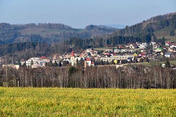 Mountainvillage in CZ