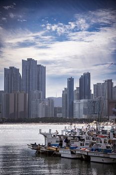 Wo das Meer auf die Stadt trifft