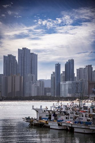 Wo das Meer auf die Stadt trifft