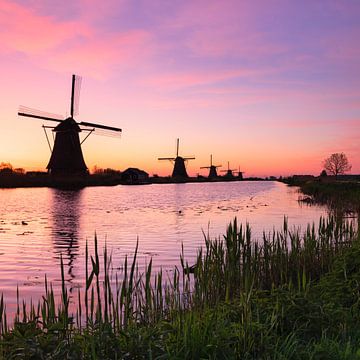 Windmolens bij zonsopgang, Kinderdijk, Nederland van Markus Lange