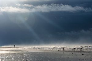 Strand Noordwijk
