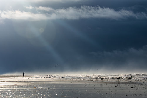 Strand Noordwijk