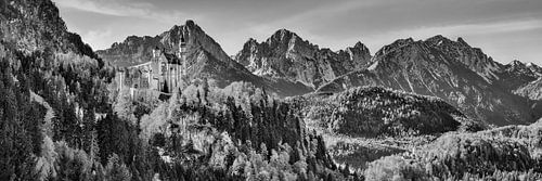 Kasteel Neuschwanstein met bergpanorama in zwart-wit.