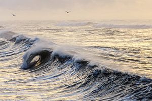 Quand les vagues s'écrasent sur Gerry van Roosmalen