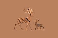 Cerfbois by Catherine Fortin thumbnail