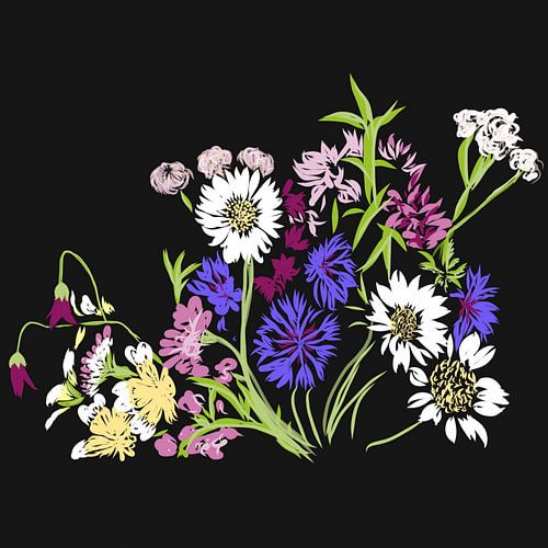 fleurs sur fond noir
