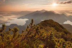 Herzogstand - Sonnenaufgang - Bayerische Alpen
