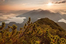 Herzogstand - Sonnenaufgang - Bayerische Alpen von Jiri Viehmann