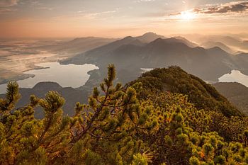 Herzogstand - Sonnenaufgang - Bayerische Alpen