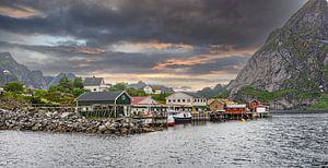 Reine