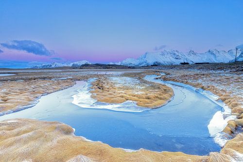 Stream in the meadows