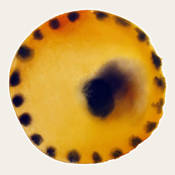 AMBER TIDE AQUA ORB 999 - Abstract Watercolour Art with Warm Glow by Saskia Mensink PRINTS