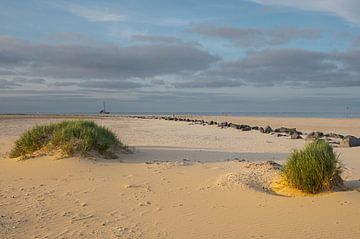 Paysage de dunes de l'Ameland sur Peter Bartelings