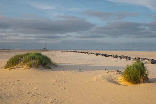Duinlandschap Ameland