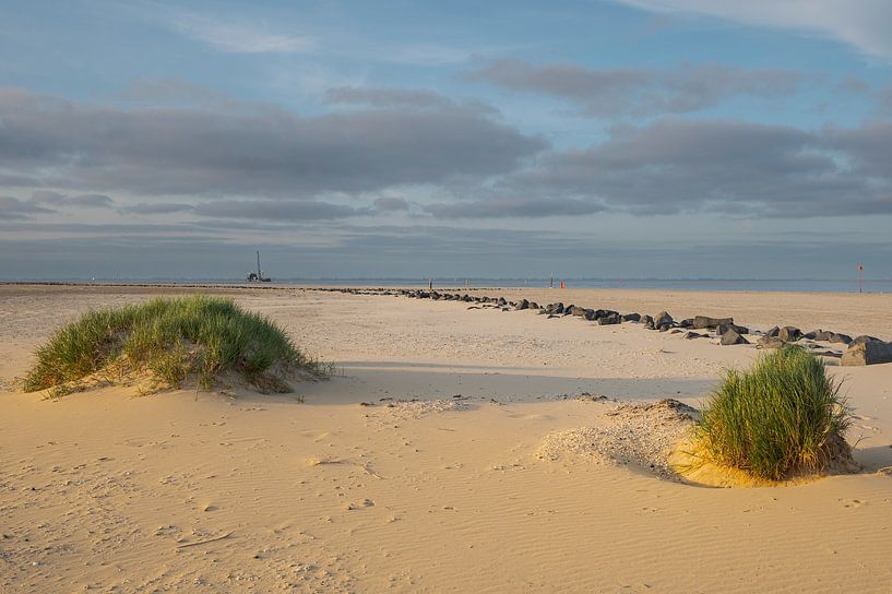 Ameland dune landscape by Peter Bartelings