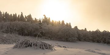 Dromerige avondsfeer in een besneeuwd landschap van Holger Spieker