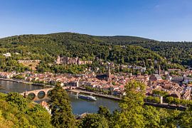 Heidelberg met het kasteel en de oude brug van Werner Dieterich