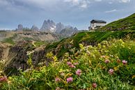 Berghütte in den italienischen Dolomiten von Eelke Brandsma Miniaturansicht