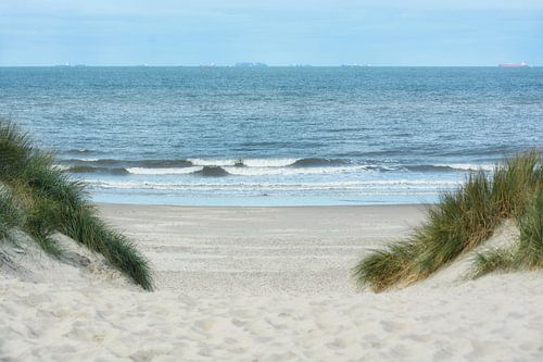 Poort naar het strand