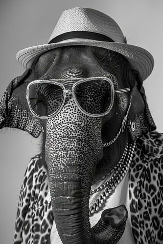 Olifant met zonnebril en hoed in modieuze pose