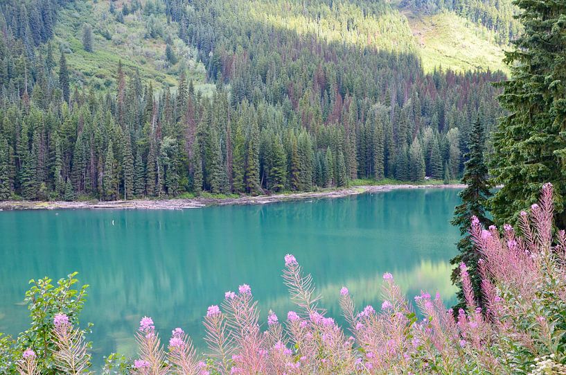 Blue lake Canada by Marcel Schouten